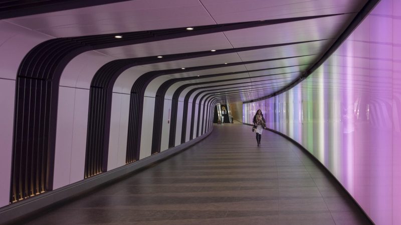 性徒更新动态与后续内容展望 配图