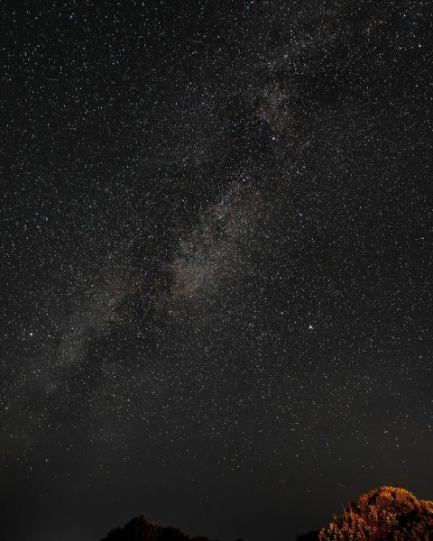 性徒游戏封面场景图，深紫夜空背景下主角剪影站立于霓虹光效包围的城市废墟，画面氛围感强烈